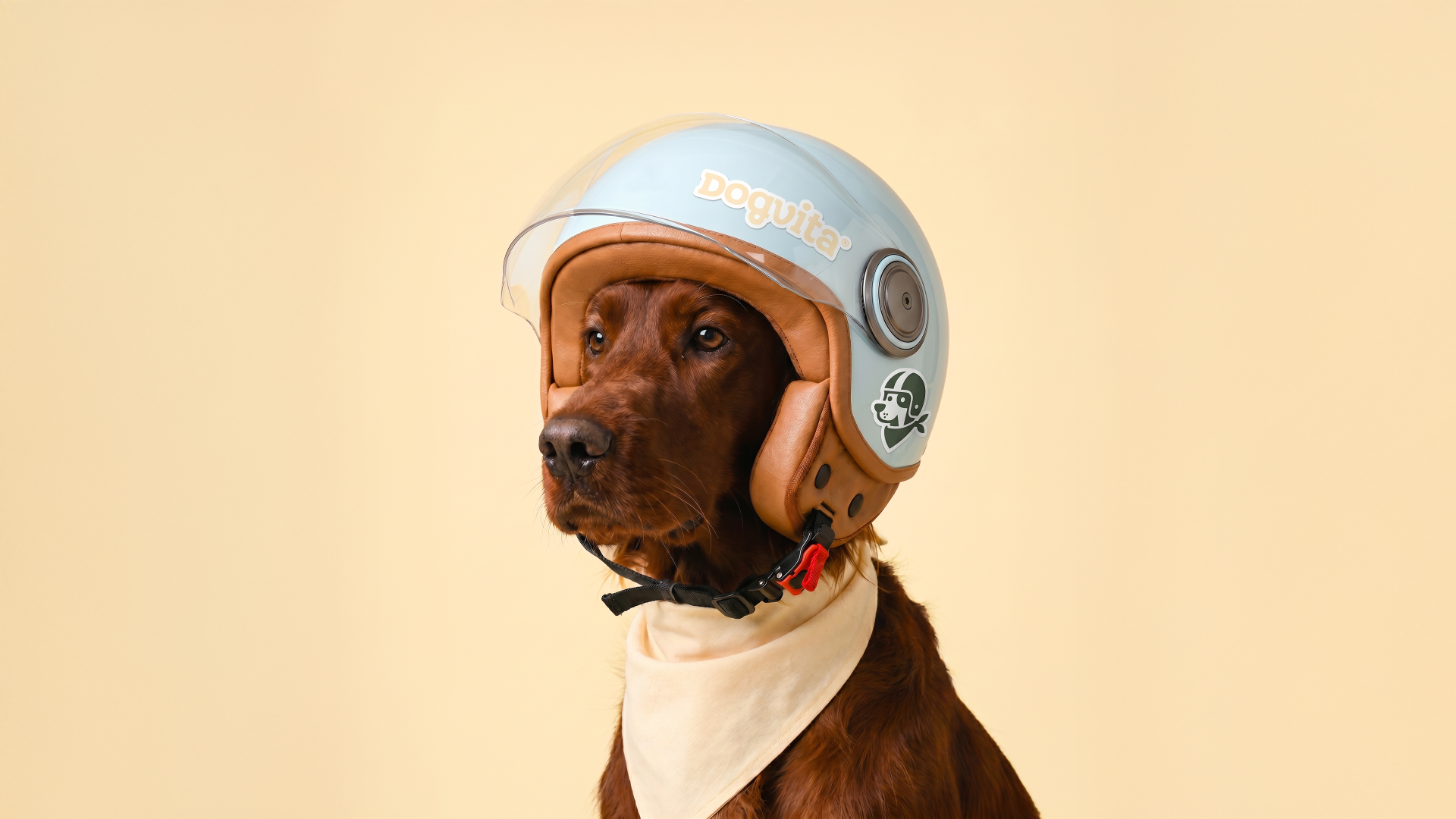 Dogvita